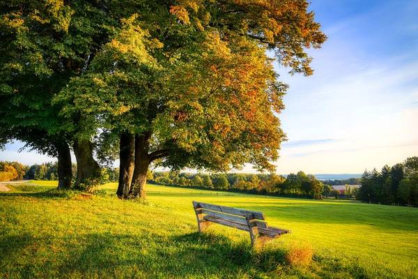 Quelle: Natur