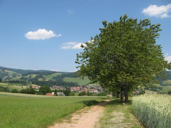 Quelle: Geistliches Zentrum St. Peter